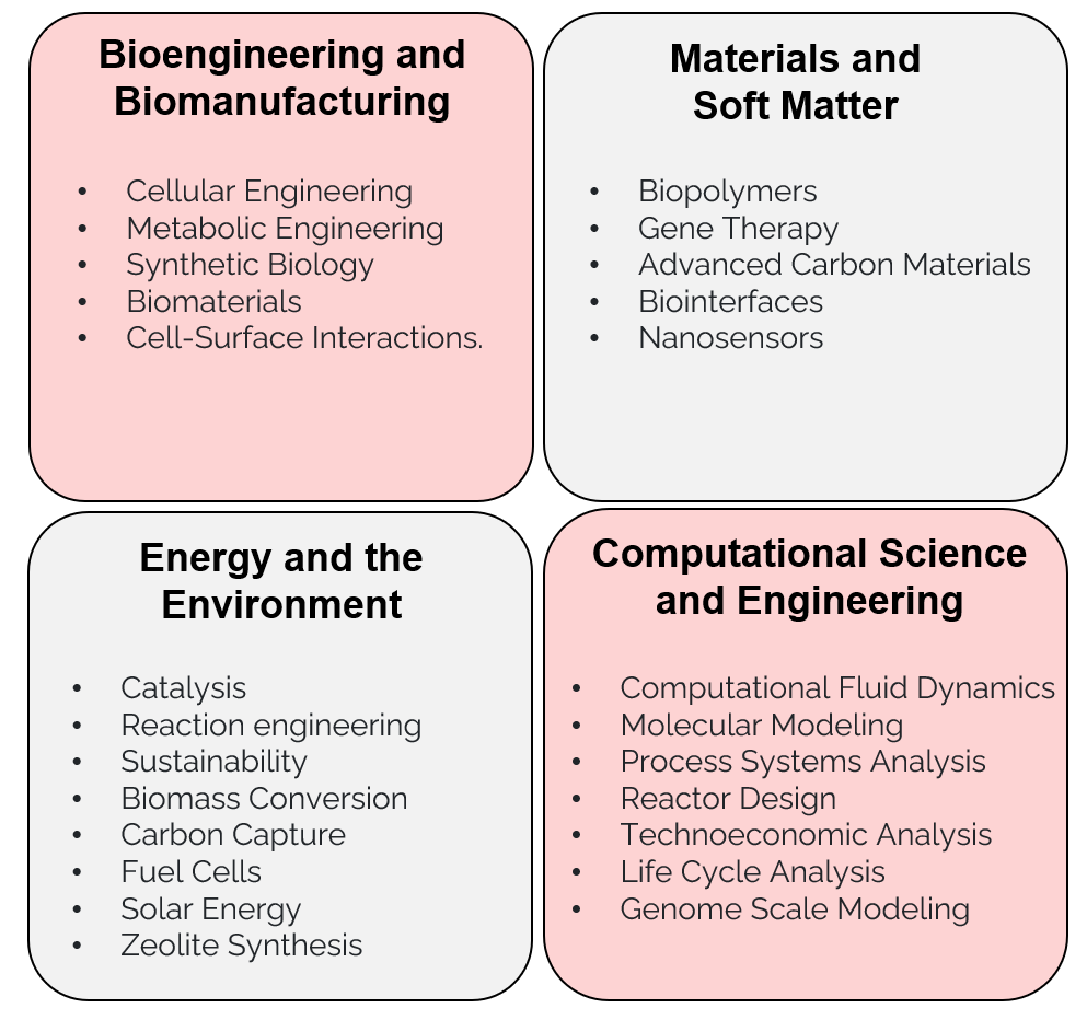 Bioengineering and Biomanufacturing: Cellular Engineering, Metabolic Engineering, Synthetic Biology, Biomaterials, Cell-Surface Interactions. Materials and Soft Matter: Biopolymers, Gene Therapy, Advanced Carbon Materials, Biointerfaces, Nanosensors. Energy and the Environment: Catalysis, Reaction Engineering, Sustainability, Biomass Conversion, Carbon Capture, Fuel Cells, Solar Energy, Zeolite Synthesis. Computational Science and Engineering: Computational Fluid Dynamics, Molecular Modeling, Process Systems Analysis, Reactor Design, Technoeconomic Analysis, Life Cycle Analysis, Genome Scale Modeling.